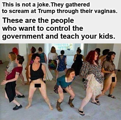 These are the people who want to control the government and teach your kids | These are the people who want to control the government and teach your kids. | image tagged in screaming liberal,vagina woman,vagina hats,vagina screamers,snowflakes,liberalism is a mental disorder | made w/ Imgflip meme maker