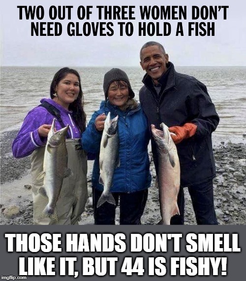 fishy Obama | THOSE HANDS DON'T SMELL LIKE IT, BUT 44 IS FISHY! | image tagged in real men,obama is a woos,wuss,fishy | made w/ Imgflip meme maker