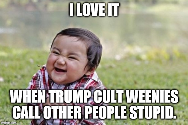 Evil Toddler Meme | I LOVE IT WHEN TRUMP CULT WEENIES CALL OTHER PEOPLE STUPID. | image tagged in memes,evil toddler | made w/ Imgflip meme maker