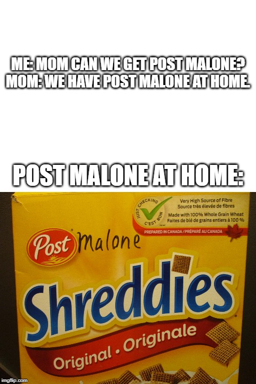 ME: MOM CAN WE GET POST MALONE?

MOM: WE HAVE POST MALONE AT HOME. POST MALONE AT HOME: | image tagged in blank white template | made w/ Imgflip meme maker