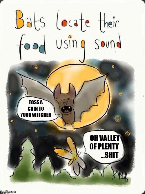 Bats locate their food using sound | TOSS A COIN TO YOUR WITCHER; OH VALLEY OF PLENTY         ...SHIT | image tagged in bats locate their food using sound | made w/ Imgflip meme maker