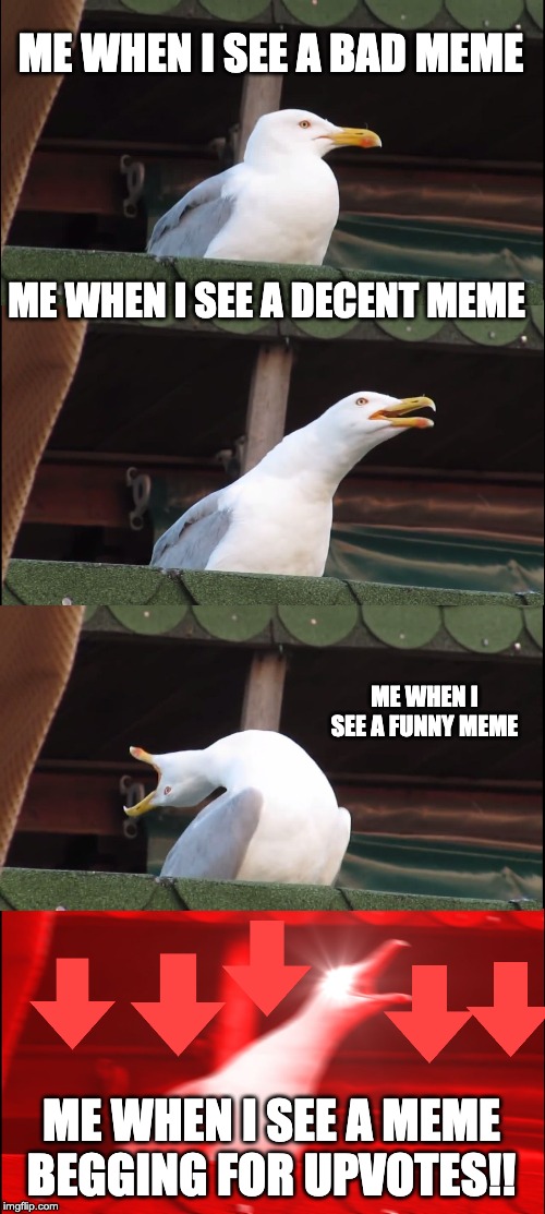 Inhaling Seagull | ME WHEN I SEE A BAD MEME; ME WHEN I SEE A DECENT MEME; ME WHEN I SEE A FUNNY MEME; ME WHEN I SEE A MEME BEGGING FOR UPVOTES!! | image tagged in memes,inhaling seagull | made w/ Imgflip meme maker