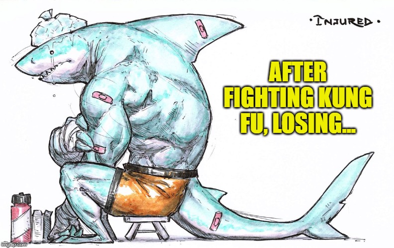 Poor, poor shark dude... |  AFTER FIGHTING KUNG FU, LOSING... | image tagged in funny,shark,kung fu,karate,fight,after | made w/ Imgflip meme maker
