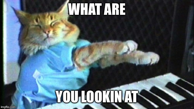 Piano cat | WHAT ARE; YOU LOOKIN AT | image tagged in piano cat | made w/ Imgflip meme maker