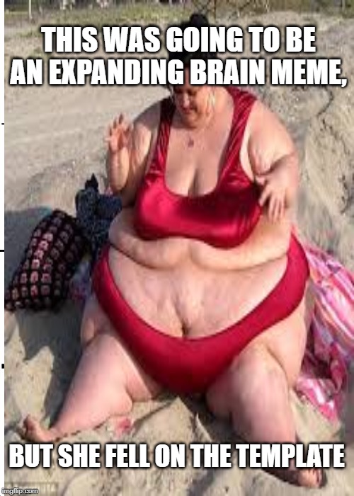 Expanding... what's a fat lady doing there?! | THIS WAS GOING TO BE AN EXPANDING BRAIN MEME, BUT SHE FELL ON THE TEMPLATE | image tagged in memes,fun | made w/ Imgflip meme maker