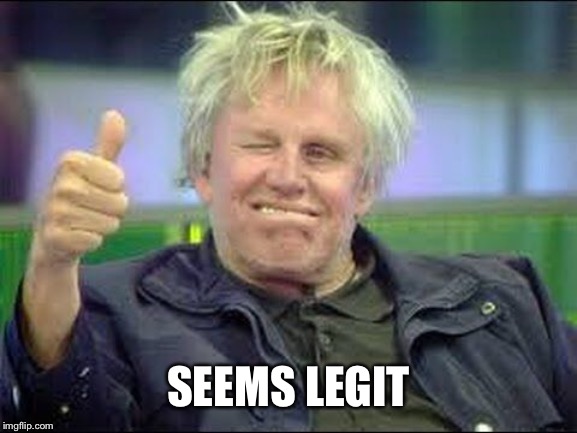 Gary Busey approves | SEEMS LEGIT | image tagged in gary busey approves | made w/ Imgflip meme maker