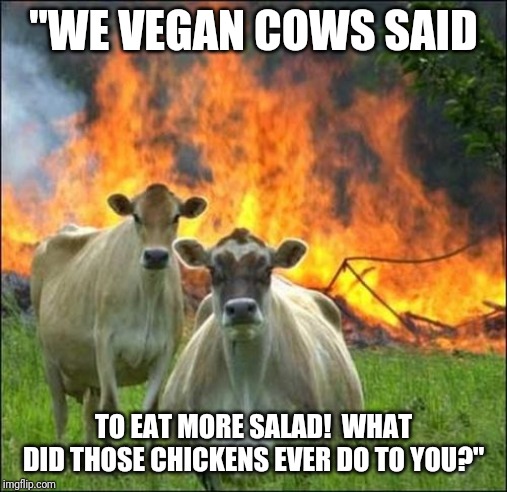 Evil Cows | "WE VEGAN COWS SAID; TO EAT MORE SALAD!  WHAT DID THOSE CHICKENS EVER DO TO YOU?" | image tagged in memes,evil cows,vegan,chicken,salad | made w/ Imgflip meme maker