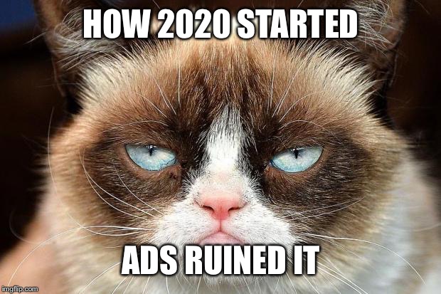 Grumpy Cat Not Amused Meme | HOW 2020 STARTED; ADS RUINED IT | image tagged in memes,grumpy cat not amused,grumpy cat | made w/ Imgflip meme maker