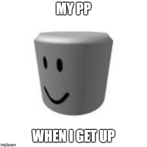 Trim Head Roblox | MY PP; WHEN I GET UP | image tagged in trim head roblox | made w/ Imgflip meme maker