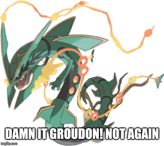 RAYQUAZA | DAMN IT GROUDON! NOT AGAIN | image tagged in rayquaza | made w/ Imgflip meme maker