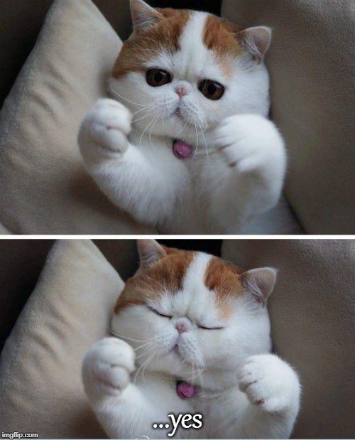 I need hugs cat | ...yes | image tagged in i need hugs cat | made w/ Imgflip meme maker