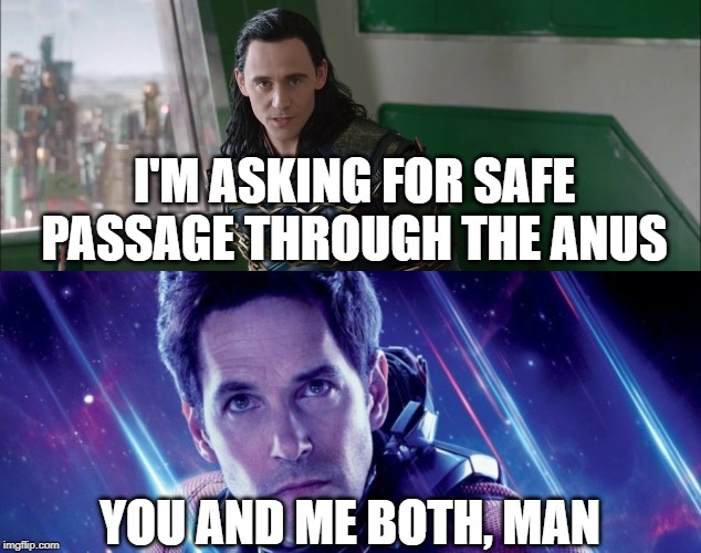 Safe Passage Through the Anus Meme | I'M ASKING FOR SAFE PASSAGE THROUGH THE ANUS; YOU AND ME BOTH, MAN | image tagged in safe passage through the anus,loki,ant man | made w/ Imgflip meme maker