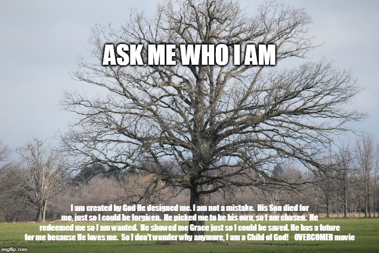 Overcomer | ASK ME WHO I AM; I am created by God He designed me. I am not a mistake.  His Son died for me, just so I could be forgiven.  He picked me to be his own, so I am chosen.  He redeemed me so I am wanted.  He showed me Grace just so I could be saved. He has a future for me because He loves me.  So I don't wonder why anymore, I am a Child of God!    OVERCOMER movie | image tagged in spiritual | made w/ Imgflip meme maker