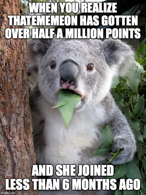Surprised Koala | WHEN YOU REALIZE THATEMEMEON HAS GOTTEN OVER HALF A MILLION POINTS; AND SHE JOINED LESS THAN 6 MONTHS AGO | image tagged in memes,surprised koala | made w/ Imgflip meme maker