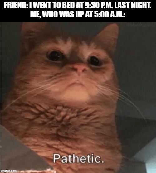 I messed up the first one... | FRIEND: I WENT TO BED AT 9:30 P.M. LAST NIGHT.
ME, WHO WAS UP AT 5:00 A.M.: | image tagged in pathetic cat,i don't need sleep i need answers,sleep,pathetic | made w/ Imgflip meme maker