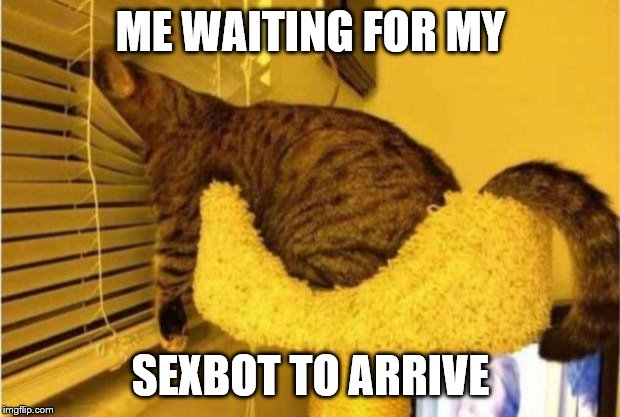 Waiting the mailman | ME WAITING FOR MY SEXBOT TO ARRIVE | image tagged in waiting the mailman | made w/ Imgflip meme maker