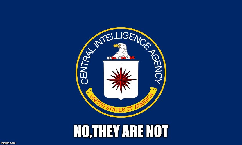 Central Intelligence Agency CIA | NO,THEY ARE NOT | image tagged in central intelligence agency cia | made w/ Imgflip meme maker
