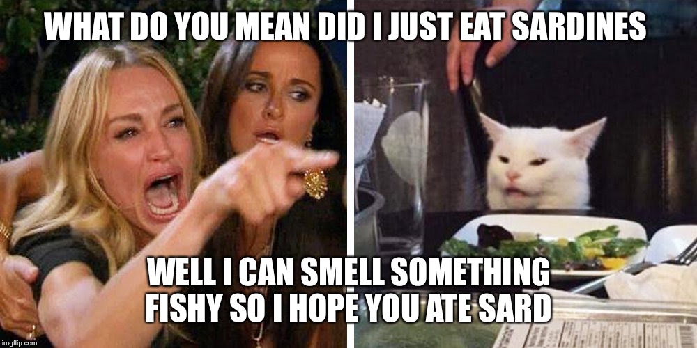 Smudge the cat | WHAT DO YOU MEAN DID I JUST EAT SARDINES; WELL I CAN SMELL SOMETHING FISHY SO I HOPE YOU ATE SARDINES | image tagged in smudge the cat | made w/ Imgflip meme maker