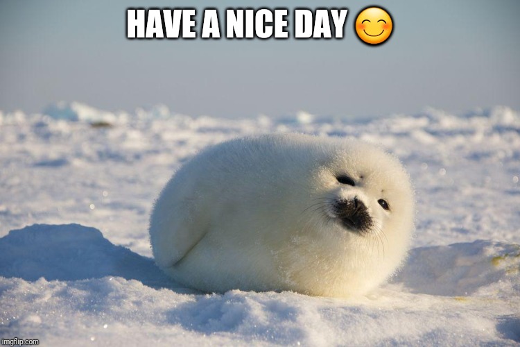 HAVE A NICE DAY 😊 | made w/ Imgflip meme maker