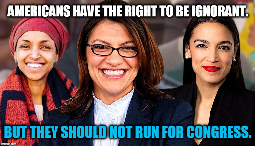 Vote Accordingly... | AMERICANS HAVE THE RIGHT TO BE IGNORANT. BUT THEY SHOULD NOT RUN FOR CONGRESS. | image tagged in politics,political meme,politics lol,american politics,liberals,stupid liberals | made w/ Imgflip meme maker