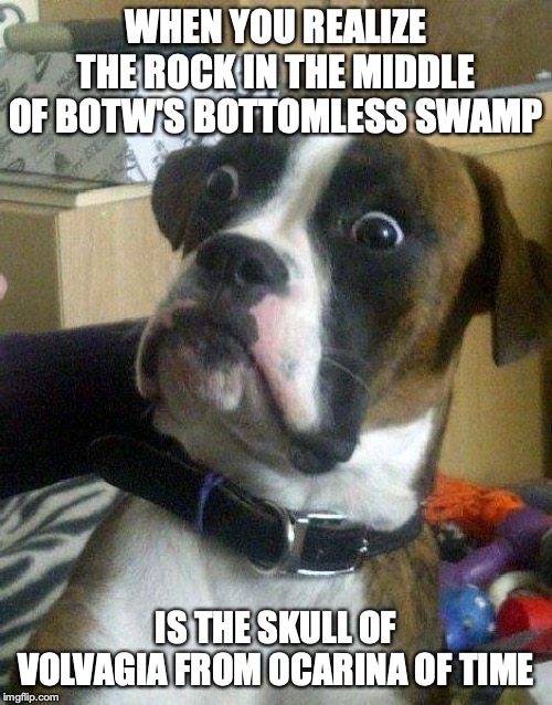 Surprised Dog |  WHEN YOU REALIZE THE ROCK IN THE MIDDLE OF BOTW'S BOTTOMLESS SWAMP; IS THE SKULL OF VOLVAGIA FROM OCARINA OF TIME | image tagged in surprised dog | made w/ Imgflip meme maker