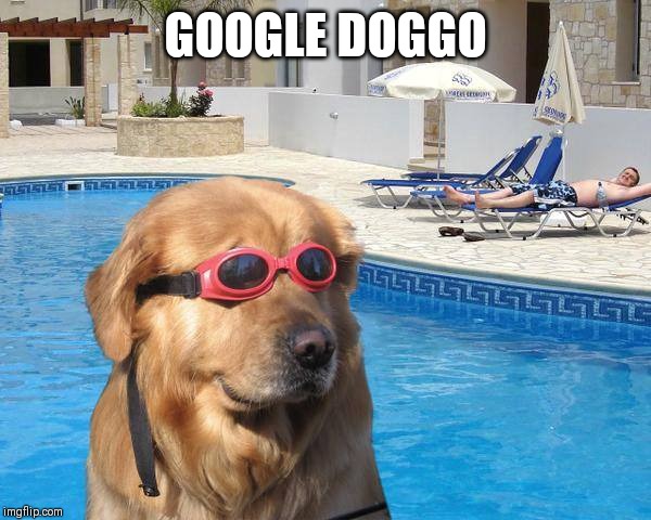 doggo | GOOGLE DOGGO | image tagged in doggo | made w/ Imgflip meme maker