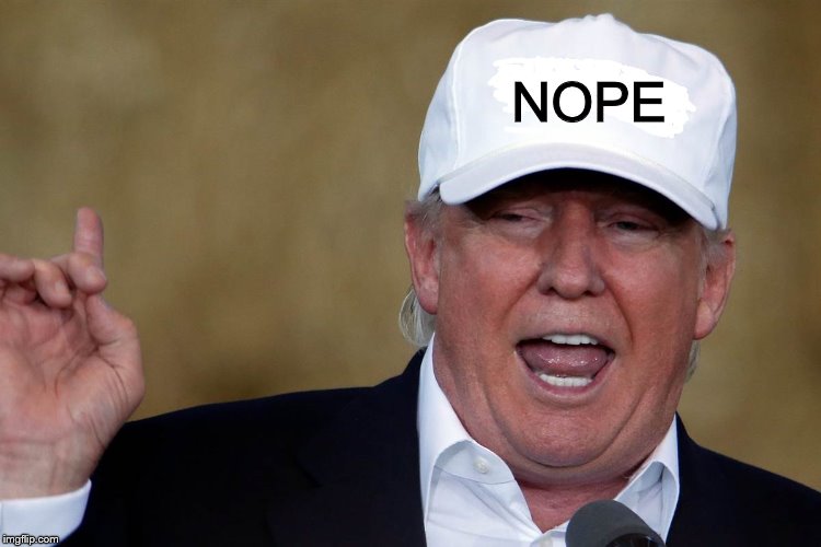 Donald Trump Blank MAGA Hat | NOPE | image tagged in donald trump blank maga hat | made w/ Imgflip meme maker