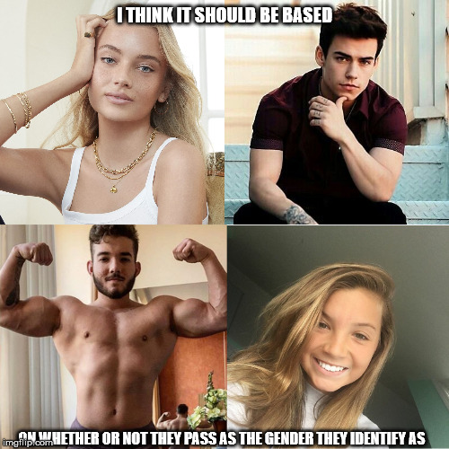 I THINK IT SHOULD BE BASED ON WHETHER OR NOT THEY PASS AS THE GENDER THEY IDENTIFY AS | made w/ Imgflip meme maker