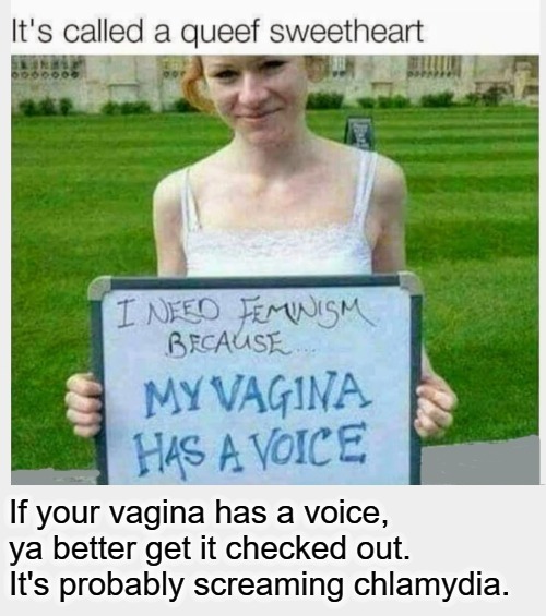 It's called a queef, sweetheart! | image tagged in my vagina has a voice,queef,chlamydia,std,venereal disease,triggered feminist | made w/ Imgflip meme maker