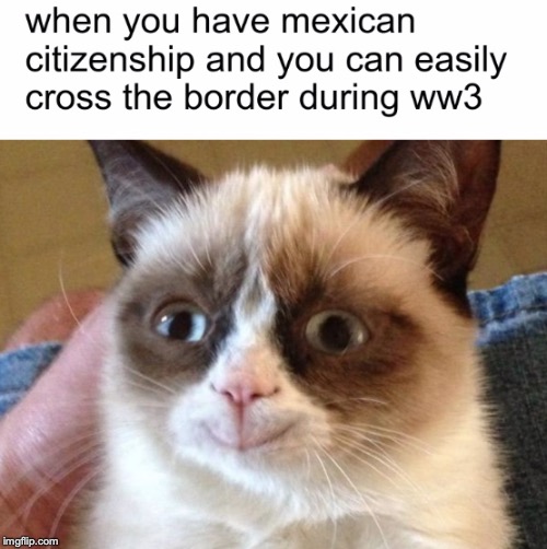 image tagged in ww3,mexico,world war 3,funny | made w/ Imgflip meme maker