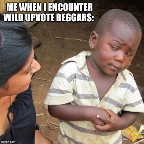 Third World Skeptical Kid | ME WHEN I ENCOUNTER WILD UPVOTE BEGGARS: | image tagged in memes,third world skeptical kid | made w/ Imgflip meme maker