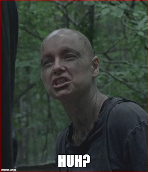 HUH? | image tagged in twd,alpha,the walking dead,huh | made w/ Imgflip meme maker