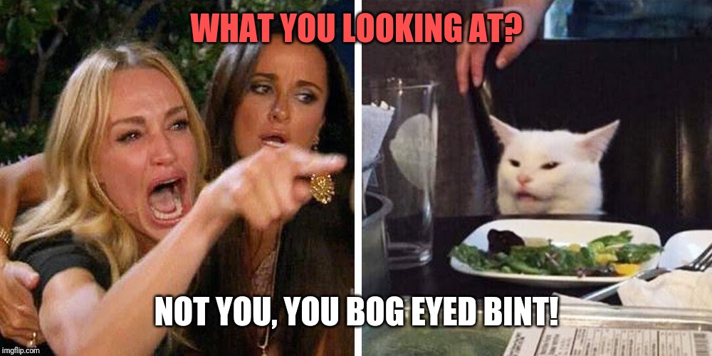 Smudge the cat | WHAT YOU LOOKING AT? NOT YOU, YOU BOG EYED BINT! | image tagged in smudge the cat | made w/ Imgflip meme maker