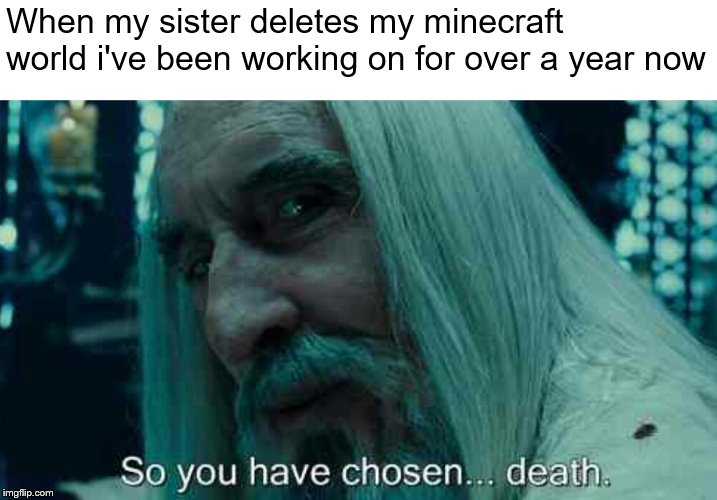 So you have chosen death | When my sister deletes my minecraft world i've been working on for over a year now | image tagged in so you have chosen death | made w/ Imgflip meme maker