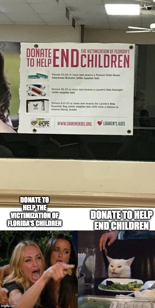 I know I left out a part for the cat | DONATE TO HELP END CHILDREN; DONATE TO HELP THE VICTIMIZATION OF FLORIDA'S CHILDREN | image tagged in memes,woman yelling at cat,stupid signs | made w/ Imgflip meme maker