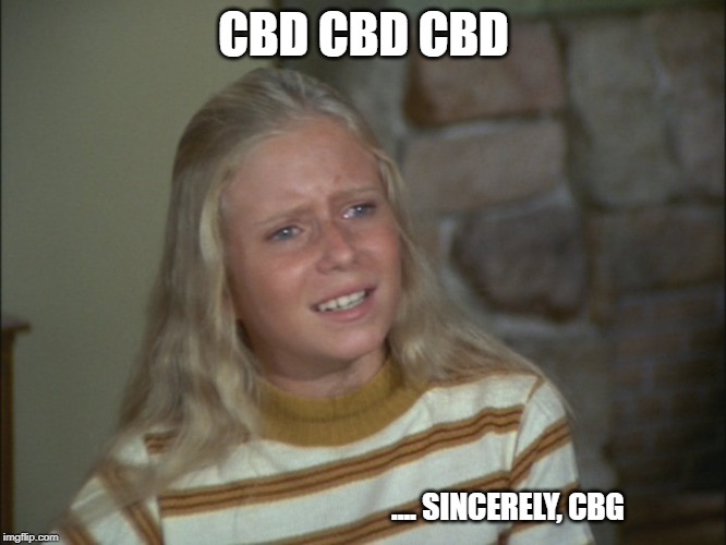 marcia marcia marcia | CBD CBD CBD; .... SINCERELY, CBG | image tagged in marcia marcia marcia | made w/ Imgflip meme maker