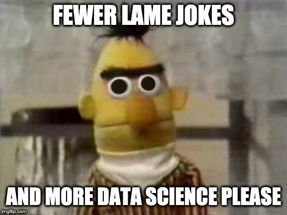 Bert Stare | FEWER LAME JOKES; AND MORE DATA SCIENCE PLEASE | image tagged in bert stare | made w/ Imgflip meme maker