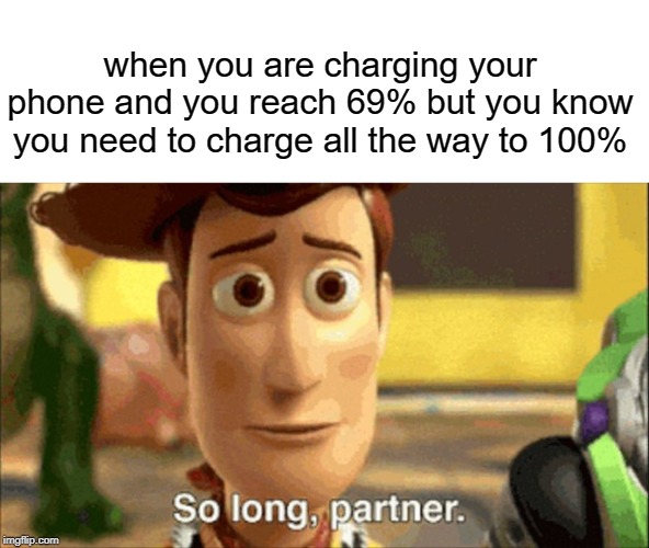 so long partner |  when you are charging your phone and you reach 69% but you know you need to charge all the way to 100% | image tagged in so long partner,funny,memes,100,69 | made w/ Imgflip meme maker