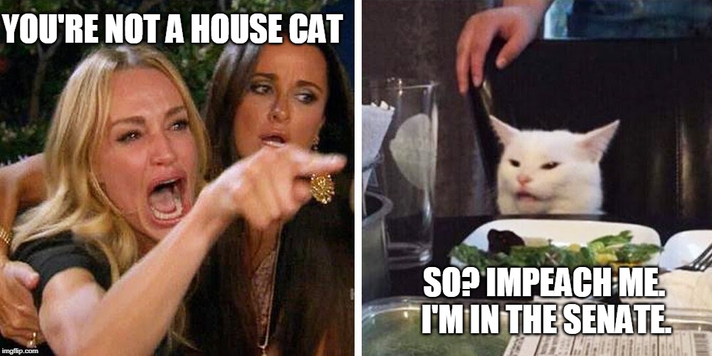 Smudge the cat | YOU'RE NOT A HOUSE CAT; SO? IMPEACH ME.      
I'M IN THE SENATE. | image tagged in smudge the cat | made w/ Imgflip meme maker