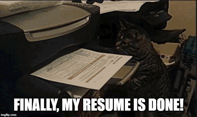 Looking for Work? | FINALLY, MY RESUME IS DONE! | image tagged in funny cat | made w/ Imgflip meme maker