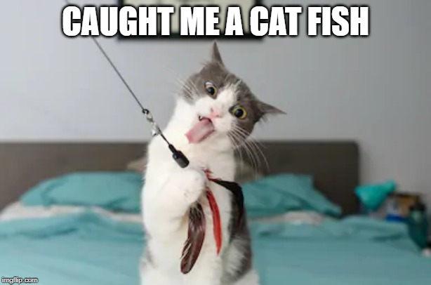 Cat Fish | CAUGHT ME A CAT FISH | image tagged in funny cat | made w/ Imgflip meme maker
