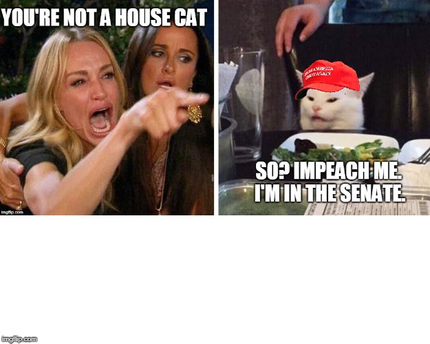 image tagged in impeachment,maga,political humor | made w/ Imgflip meme maker