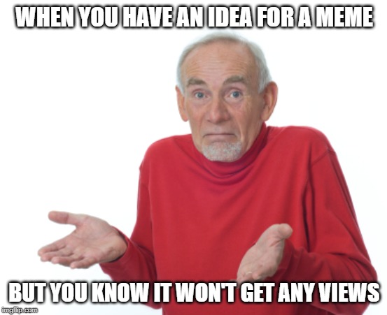 Old Man Shrugging | WHEN YOU HAVE AN IDEA FOR A MEME; BUT YOU KNOW IT WON'T GET ANY VIEWS | image tagged in old man shrugging | made w/ Imgflip meme maker