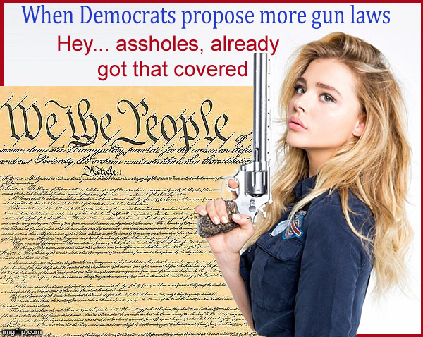 Oh look...another new BS gun law from the Dimowits | image tagged in guns,chloe grace moretz,babes,2nd amendment,political meme,current events | made w/ Imgflip meme maker