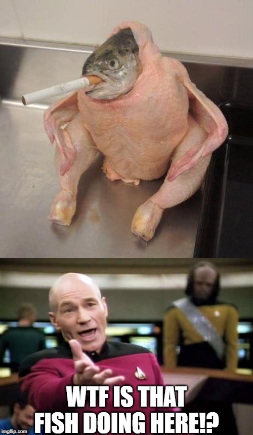 E>" | WTF IS THAT FISH DOING HERE!? | image tagged in memes,picard wtf,funny,wtf,fish,chicken | made w/ Imgflip meme maker