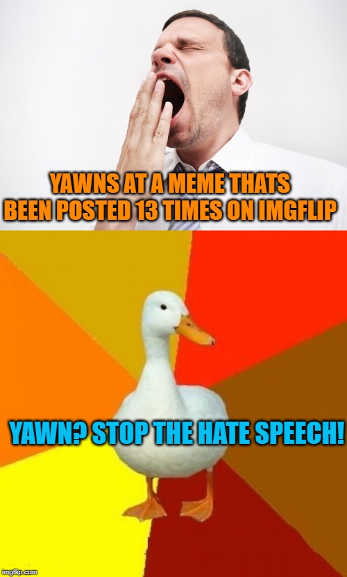 YAWNS AT A MEME THATS BEEN POSTED 13 TIMES ON IMGFLIP; YAWN? STOP THE HATE SPEECH! | image tagged in memes,tech impaired duck,yawn | made w/ Imgflip meme maker