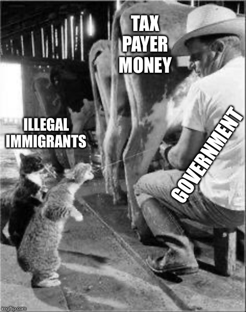 Udder Nonsense | TAX PAYER MONEY; ILLEGAL IMMIGRANTS; GOVERNMENT | image tagged in big government,taxation,american,workers,illegal immigration | made w/ Imgflip meme maker