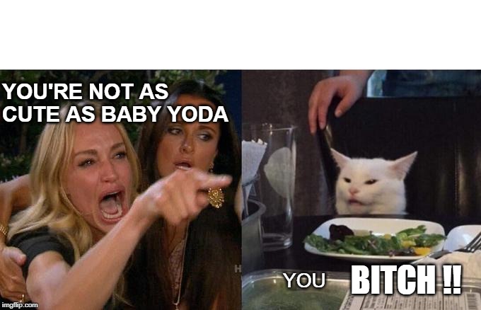 Smudge vs Baby Yoda | YOU'RE NOT AS CUTE AS BABY YODA; BITCH !! YOU | image tagged in memes,woman yelling at cat,smudge the cat | made w/ Imgflip meme maker