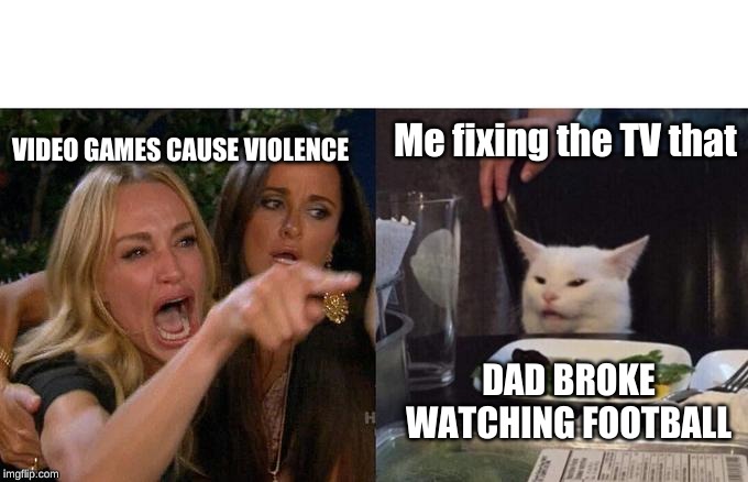 Woman Yelling At Cat Meme | Me fixing the TV that; VIDEO GAMES CAUSE VIOLENCE; DAD BROKE WATCHING FOOTBALL | image tagged in memes,woman yelling at cat | made w/ Imgflip meme maker