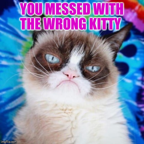 YOU MESSED WITH THE WRONG KITTY | made w/ Imgflip meme maker